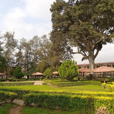unibadan 6